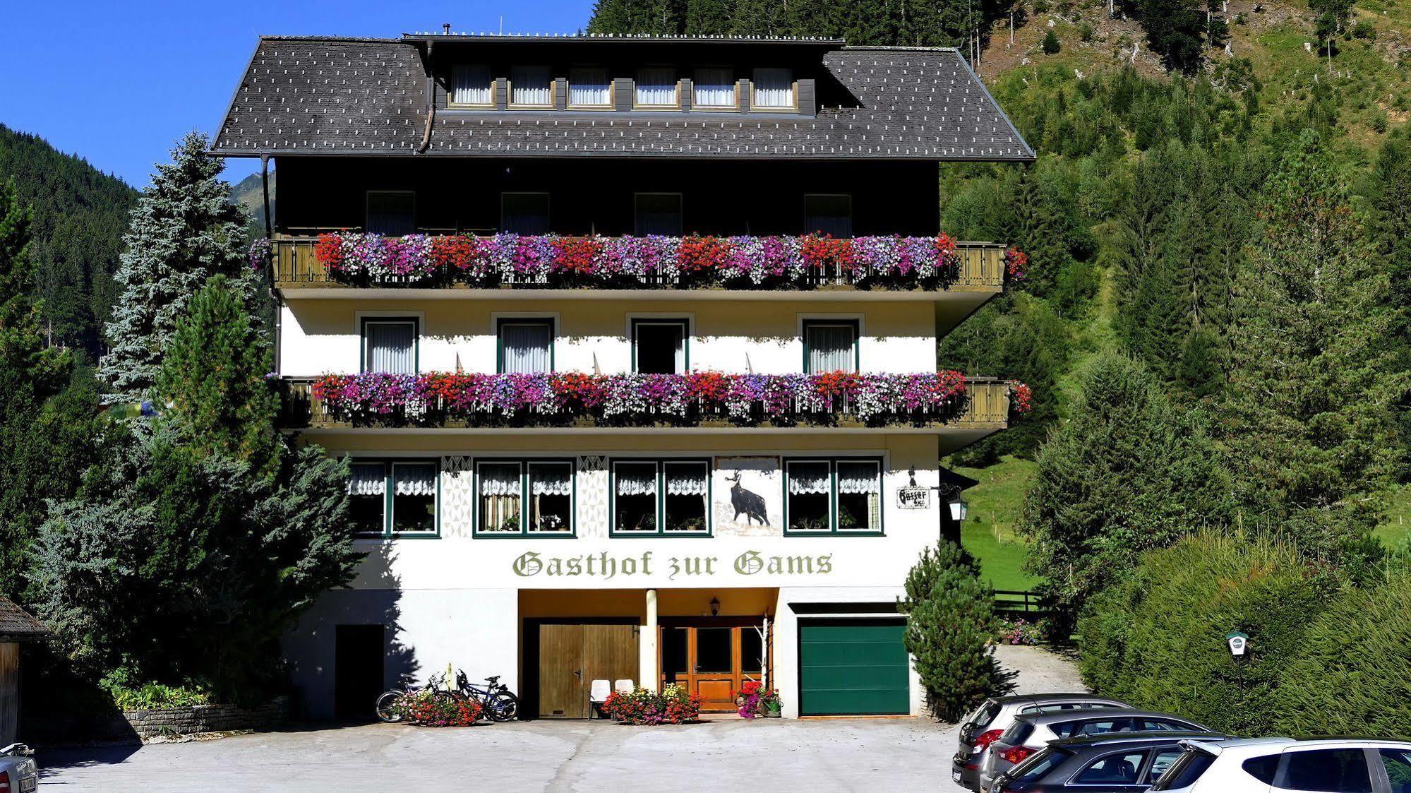 Gasthof Zur Gams Donnersbachwald Exterior photo
